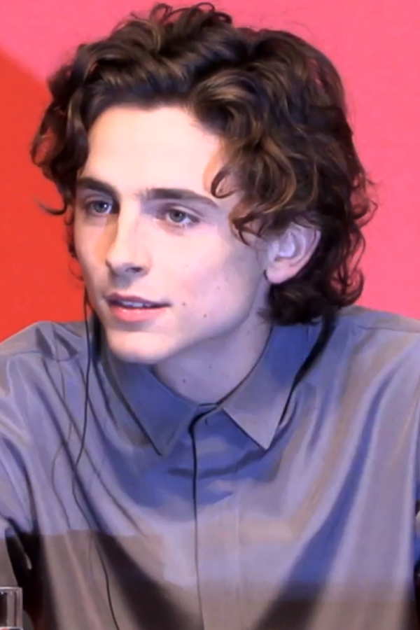 Timothée Chalamet is a modern actor who gained success through starring in various indie films. Hes recently starred as Paul in Dune.