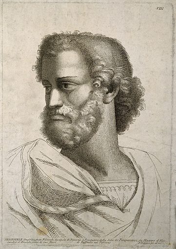 Today, Aristotle is a world-reowned Greek philosopher and polymath from the Classical period in Ancient Greece. Aristotle. Etching by P. Fidanza after Raphael Sanzio. 