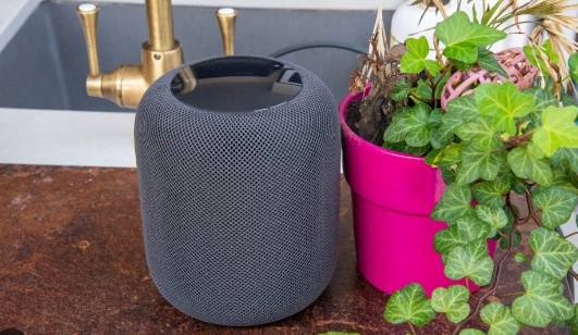 Music Is Good for Your Plants Too