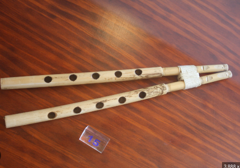 The oldest known musical instrument is 50,000 years old