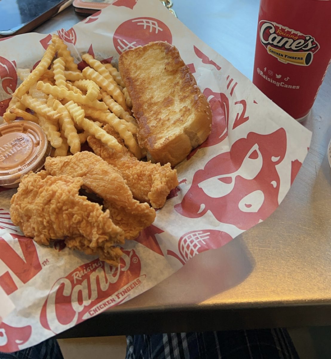 Three finger combo from the Canes restaurant. One of the five combos available for order.