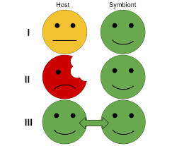 Symbiotic relationships.