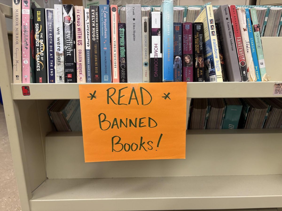 Over 500 books are banned in states such as Texas. Why are they banned?