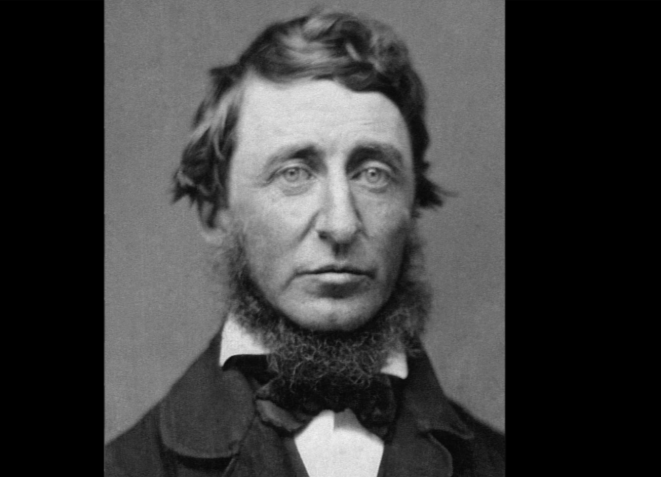 “Success usually comes to those who are too busy to be looking for it.” —Henry David Thoreau