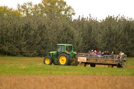 Hayrides is one of many activities you can choose from at Battleview Orcahrds.