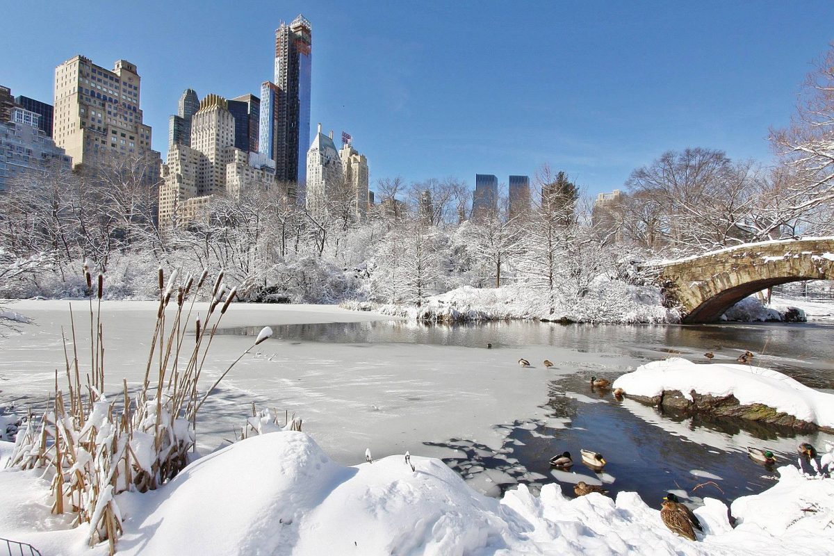 Central Park is America's first landscaped public park, larger than Monaco, bigger than Vatican City, and features a hidden waterfall, a 3,500-year-old Egyptian obelisk (Cleopatra's Needle), and was built over a former community called Seneca Village, all while housing the world's largest collection of American Elms on its Mall.  