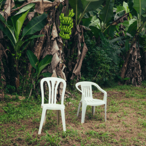 Song of the Day: Debi Tirar Mas Fotos by Bad Bunny