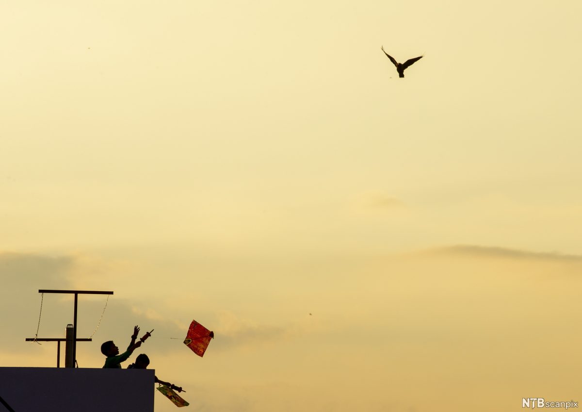 Real-life kite fighting in Afghanistan, or gudiparan bazi, is a 800-year-old traditional sport where participants use glass-coated strings to cut opponents' kites. It is very popular in winter, particularly in Kabul, and the fighters use specialized fighter kites to engage in aerial duels. 
