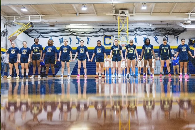 Finishing with a 20-4 record and undefeated in the GMC conference, the Colonia Girls' Basketball team lost to Mendham in the quarter finals of the NJSIAA North Jersey Group 3 State tournament.

Photo used with permission from the Colonia Girls basketball team